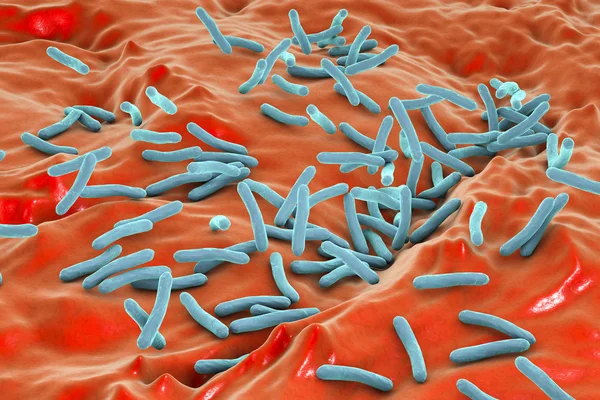 Bacterias Mycobacterium tuberculosis —  Fotos de Stock