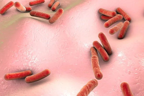 Bakterierna Mycobacterium tuberculosis — Stockfoto