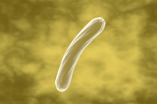 Batteri Mycobacterium tuberculosis — Foto Stock