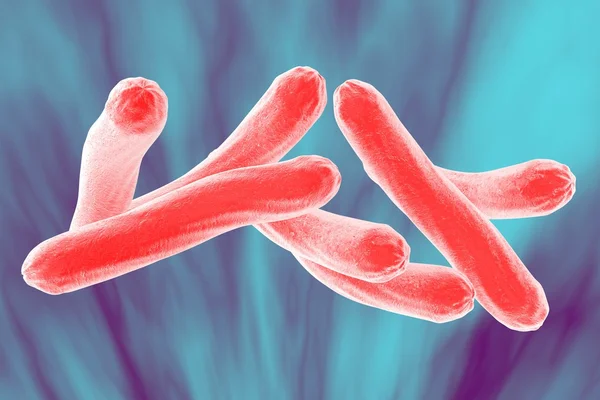 Bakteri Mycobacterium tuberculosis — Stok Foto