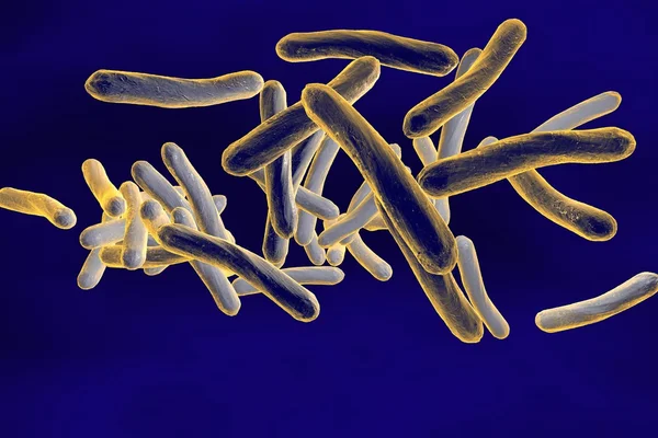 Βακτήρια Mycobacterium φυματίωση — Φωτογραφία Αρχείου