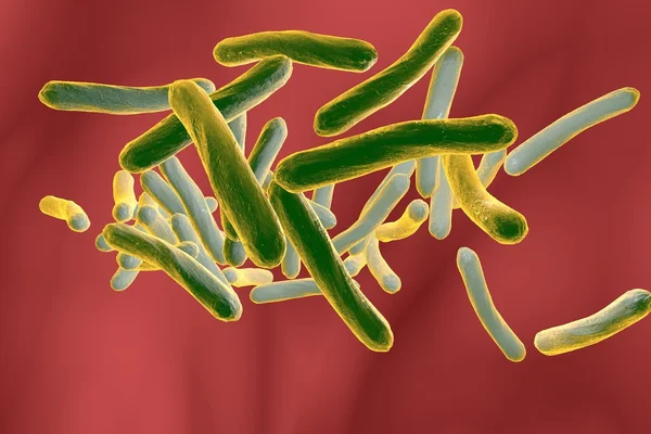 Bakteri Mycobacterium tuberculosis — Stok Foto