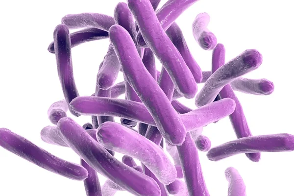 Bacterie Mycobacterium tuberculosis — Stockfoto