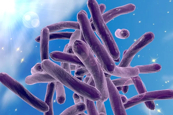 Bakterie Mycobacterium tuberculosis — Zdjęcie stockowe