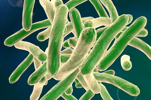 Batteri Mycobacterium tuberculosis — Foto Stock