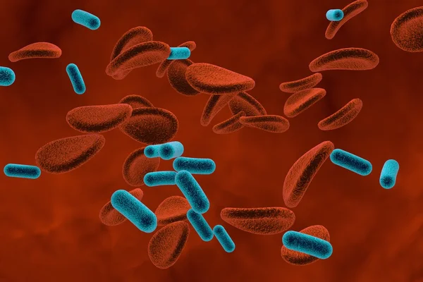Bacterias en la sangre, bacteriemia — Foto de Stock