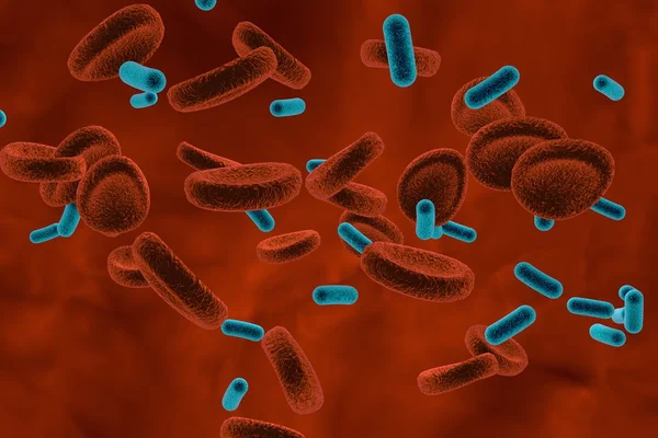 Bacterias en la sangre, bacteriemia — Foto de Stock