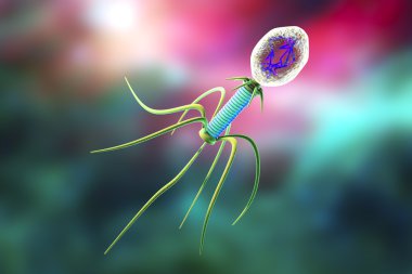 Bacteriophage, a virus which infects bacteria clipart