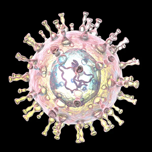 Varicella zoster virus illustration — Stock Photo, Image