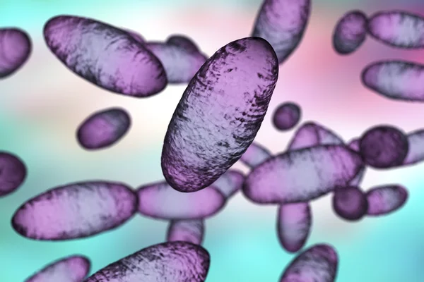 Batteri della peste bubbonica Yersinia pestis — Foto Stock