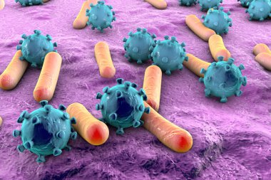 Bakteri ve virüsleri illüstrasyon