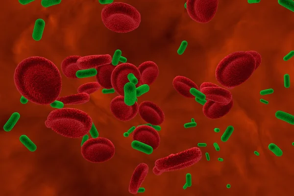 Bacterias en la sangre, bacteriemia — Foto de Stock