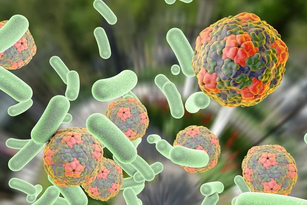 Bacteriën en virussen illustratie — Stockfoto