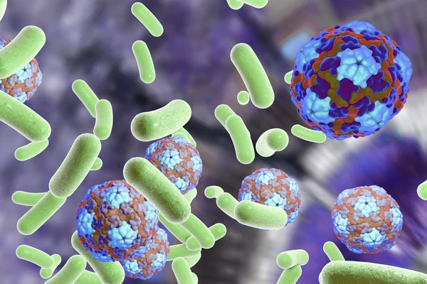 Bacteria and viruses illustration — Stock Photo, Image