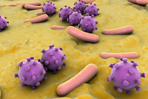Bakterier och virus illustration — Stockfoto