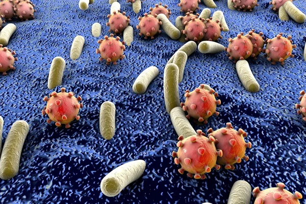 Abbildung zu Bakterien und Viren — Stockfoto