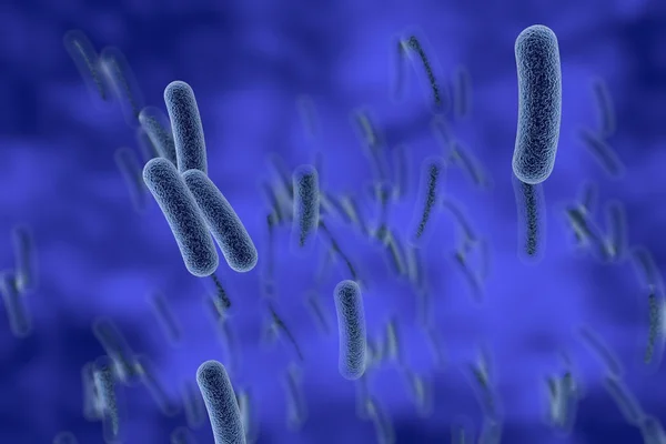 Bacterias en forma de barra —  Fotos de Stock