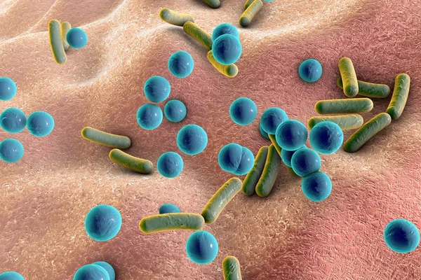 Bakterii na powierzchni skóry, błon śluzowych lub jelita — Zdjęcie stockowe
