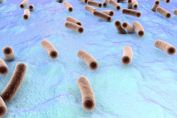 Batteri sulla superficie della pelle, della mucosa o dell'intestino — Foto Stock