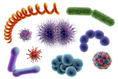 Mikroplar farklı şekiller