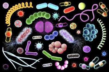 Microbes of different shapes clipart