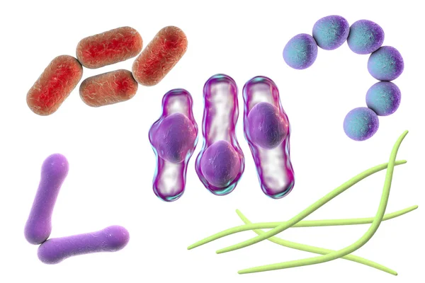 Mikroby různých tvarů — Stock fotografie
