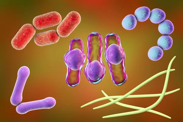 Microbios de diferentes formas — Foto de Stock