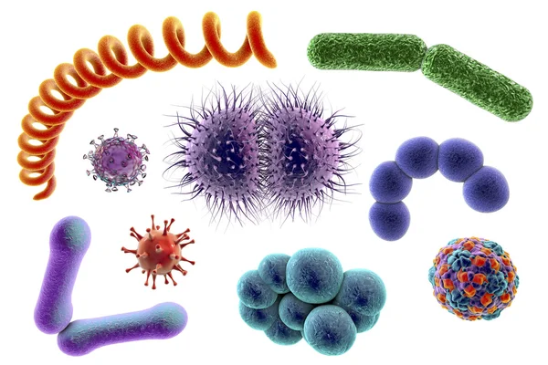 Microbes of different shapes — Stock Photo, Image