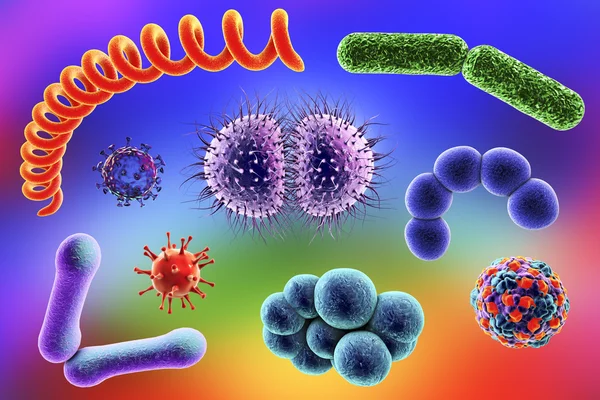 Microbes of different shapes — Stock Photo, Image