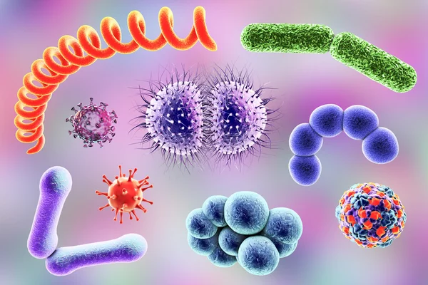 Microbes of different shapes — Stock Photo, Image