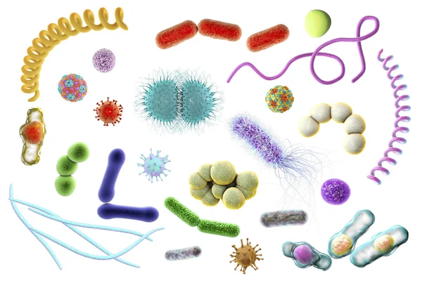 Microbes of different shapes — Stock Photo, Image