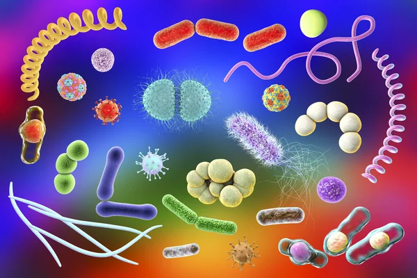 Micróbios de diferentes formas — Fotografia de Stock