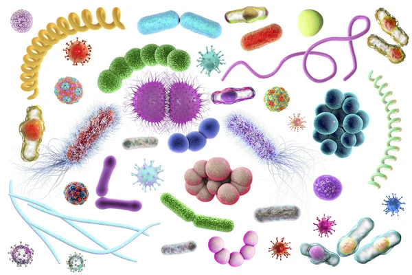 Microbios de diferentes formas —  Fotos de Stock