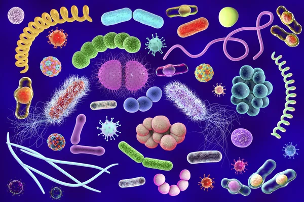 Microbios de diferentes formas —  Fotos de Stock