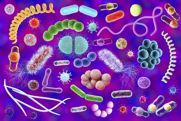 Microbi di forme diverse — Foto Stock
