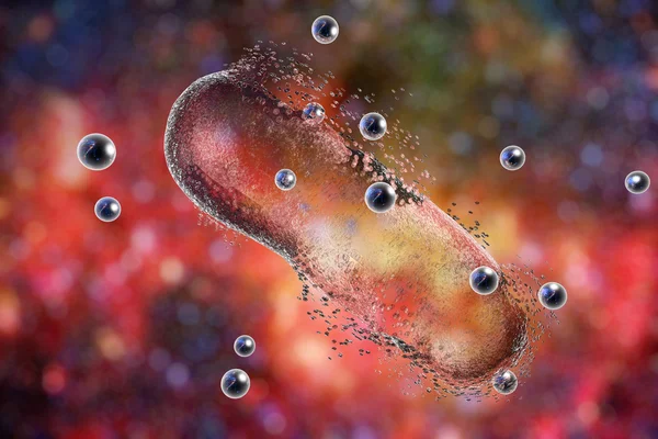 Destruction d'une bactérie par des nanoparticules d'argent — Photo
