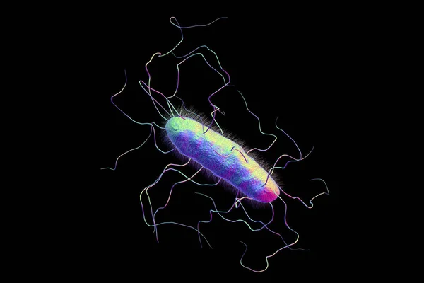 Бактерии со столбами и жгутиками — стоковое фото