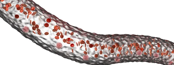 Bloedvat met vloeiende bloedcellen — Stockfoto