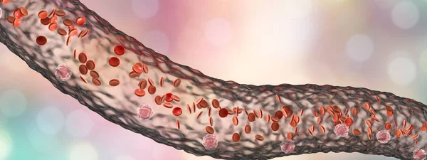 Vasos sanguíneos con células sanguíneas circulantes — Foto de Stock