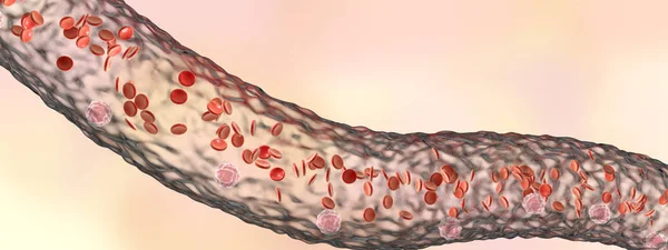 Blodkärl med flödande blodkroppar — Stockfoto