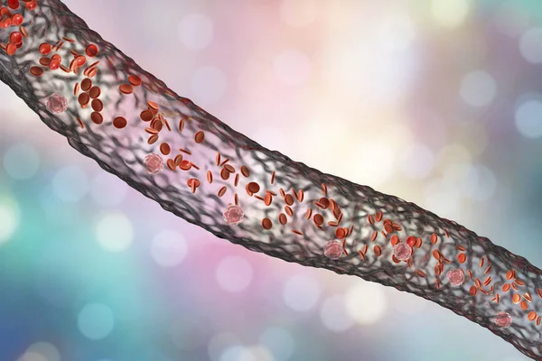 Naczyń krwionośnych z płynącej krwi komórek — Zdjęcie stockowe