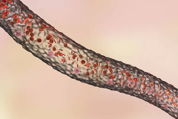 Blutgefäße mit fließenden Blutzellen — Stockfoto
