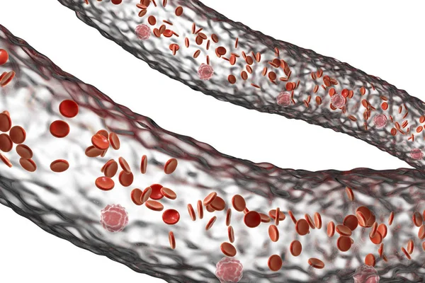 Céva s tekoucí krevních buněk — Stock fotografie