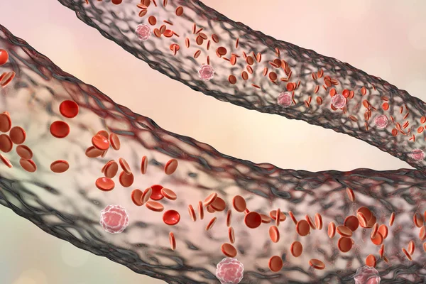 Αγγείο με ροή κυττάρων αίματος — Φωτογραφία Αρχείου