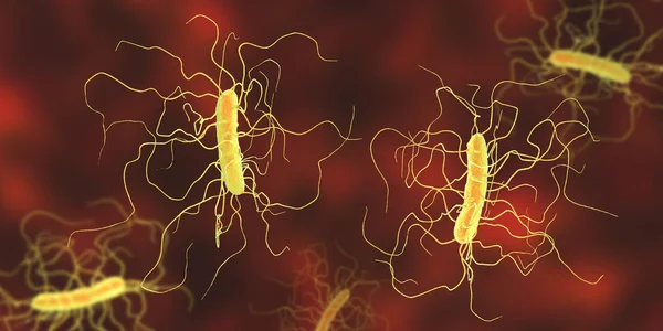 Bactérias Clostridium difficile — Fotografia de Stock