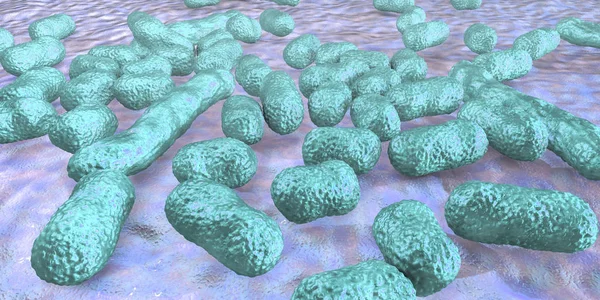 Bactéria Acinetobacter baumannii — Fotografia de Stock