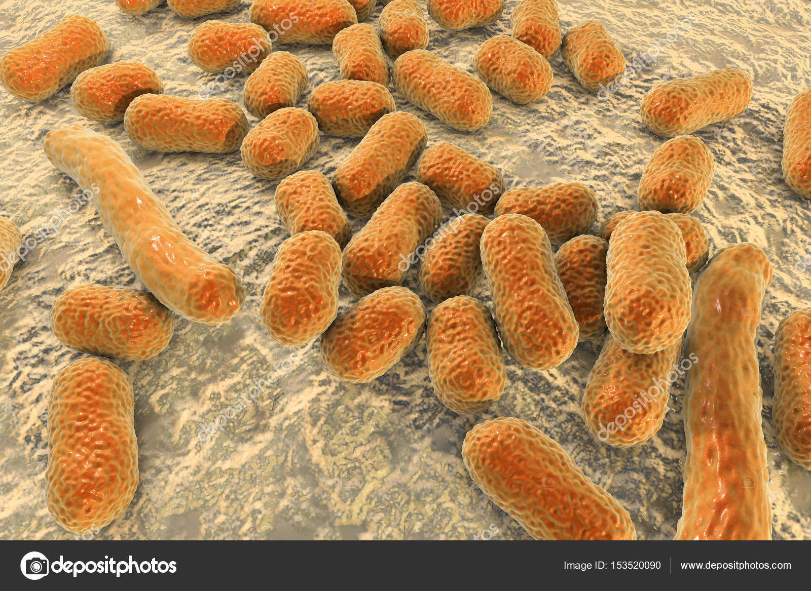 Bacterium baumannii — Stock Photo © katerynakon 153520090