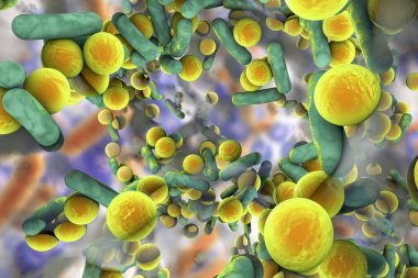 Biyofilm antibiyotik dirençli bakteri