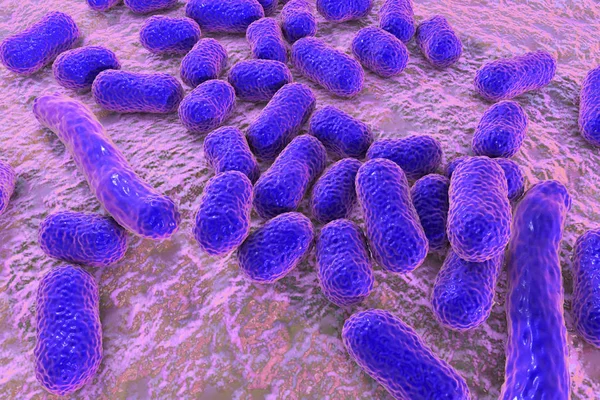 Bacteria Acinetobacter baumannii — Foto de Stock