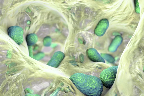 Bacterium Acinetobacter baumannii внутри биопленки — стоковое фото